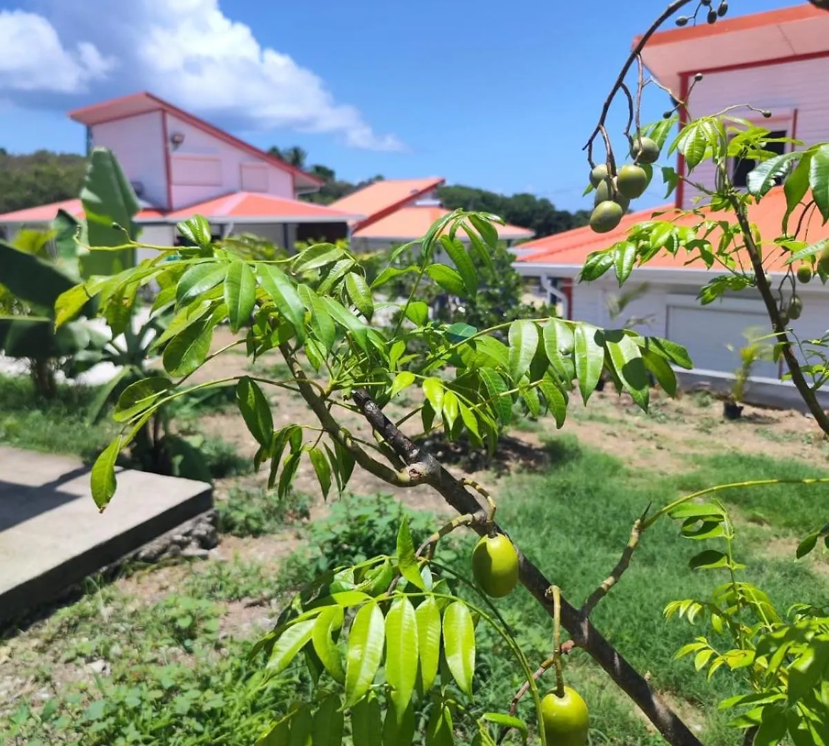 Les Jardins De Saint-Louis Bungalow 0*, Saint-Francois (Grande-Terre) Guadeloupe