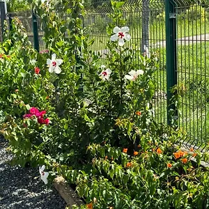 Hébergement de vacances Hibiscus De Charme Avec Piscine Privee, Saint-Francois (Grande-Terre)